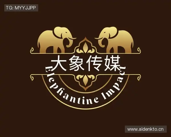 介绍大象传媒
